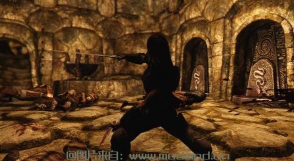 请问谁有免费下载的艾瑞莎 Arissa - The Wandering Rogue?