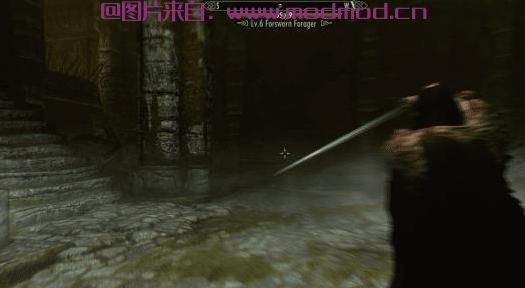 上古卷轴5：重置版MOD 箭头块（实际偏转箭头）SSE