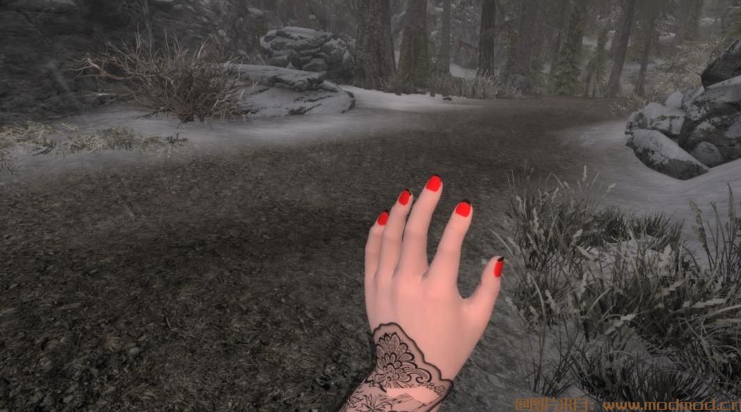 ZMDs手指颜色覆盖RaceMenu CBBE SE HD