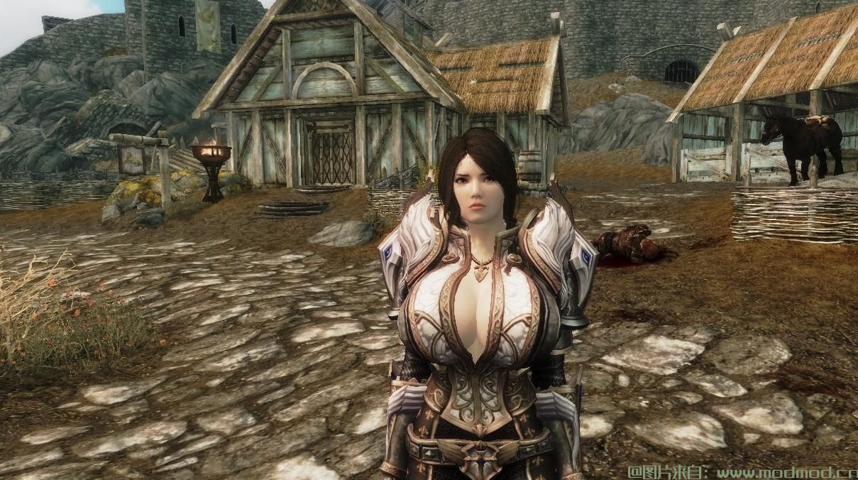 请问谁有免费使用的【sjxjacky&狮面联合出品】cbbe-manga版TeraArmors服装整合?