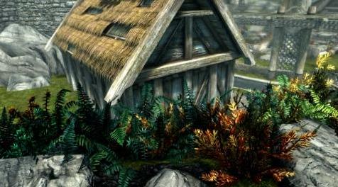 上古卷轴5：重置版MOD 多姿多彩的蕨类植物