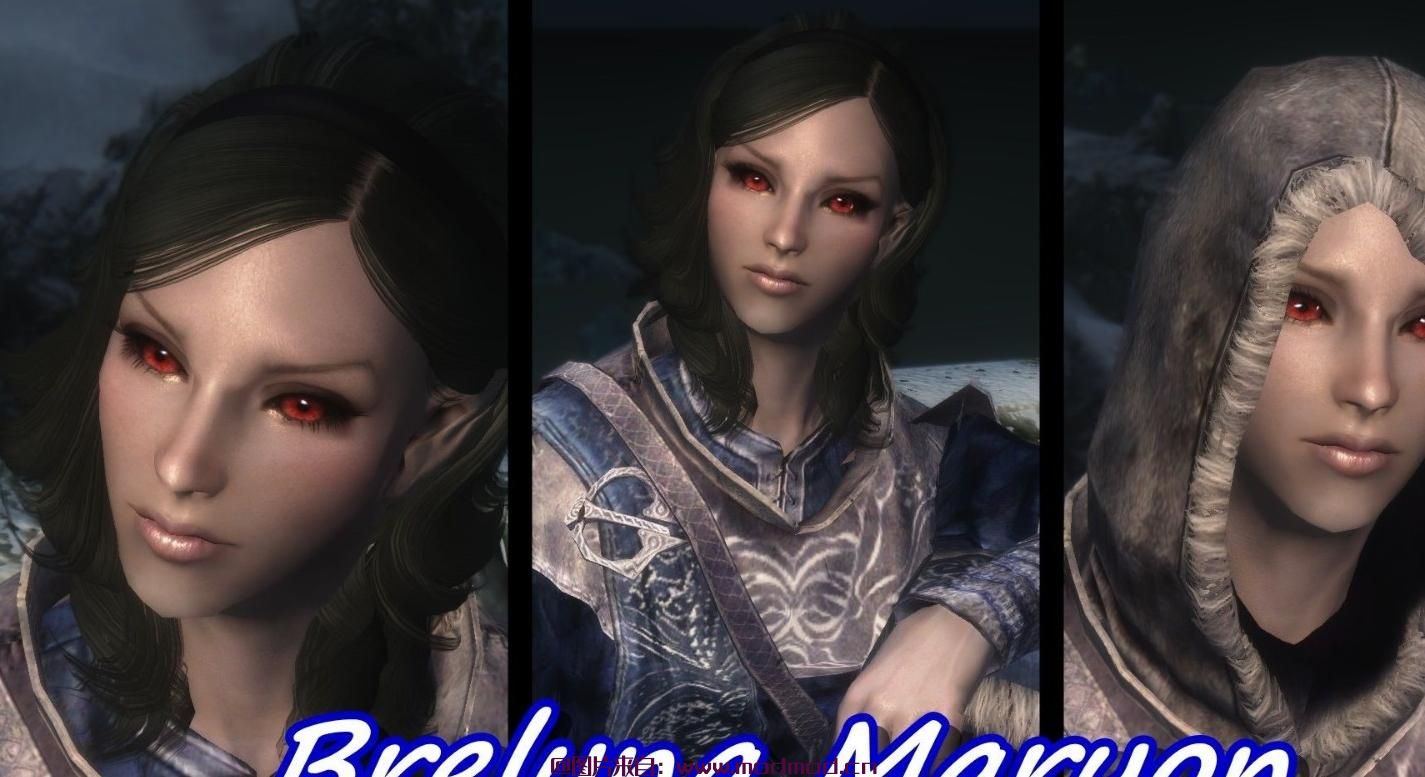 汉化MOD Skyrim Beautiful Followers - SBF最强原版随从美化V2.1汉化版