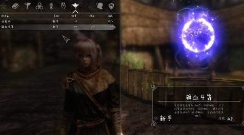 上古卷轴5：天际MOD 血族的福音-鲜血斗篷