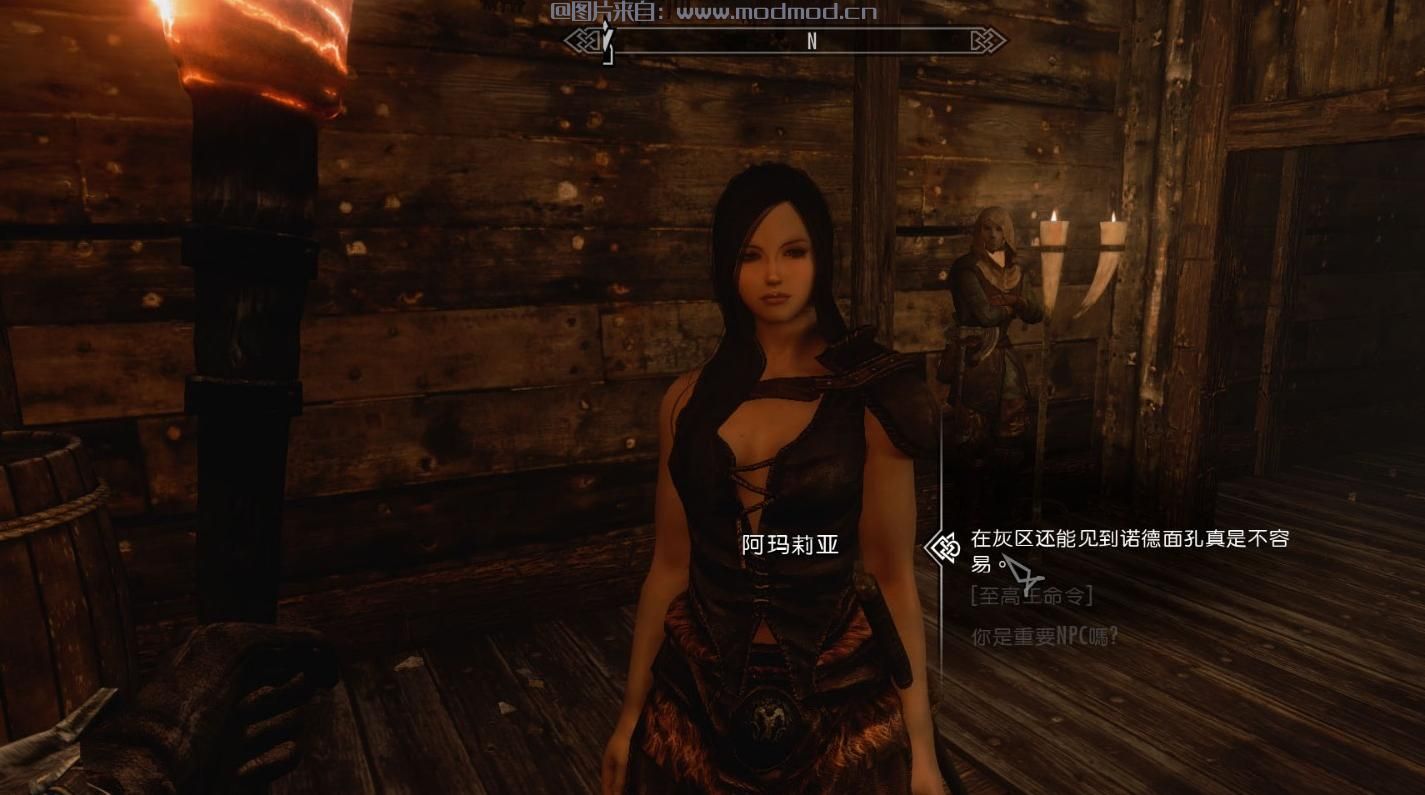 上古卷轴5：天际MOD 貌美音软的日语语音人妻随从阿玛莉亚