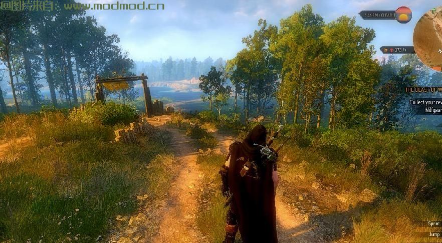 巫师3：狂猎MOD TW3 WildHunt_ReShade（画面预设）