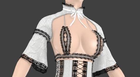 上古卷轴5：天际MOD &mdash;&mdash;Aradia Lace Dress&mdash;&mdash; 【节操装】黄-色-情-趣-蕾丝内衣套-CB