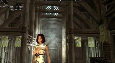 上古卷轴5：天际MOD 印花紧身衣Printedtights&mdash;&mdash;CBBE-TBBP&mdash;BodySlide化