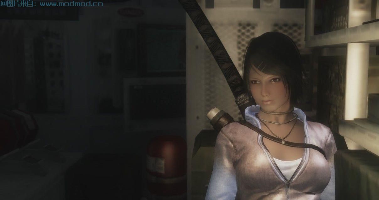 上古卷轴5：天际MOD 鬼泣DMC凯特套装汉化Kat Outfit