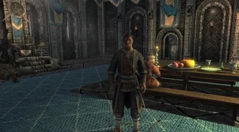 上古卷轴5：重置版MOD 新 breton 随从者 Dorn