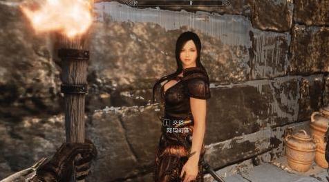 上古卷轴5：天际MOD 貌美音软的日语语音人妻随从阿玛莉亚