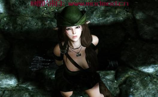 上古卷轴5：天际MOD 汉化  隐居者塔妮娅-V3.6--多功能女随从