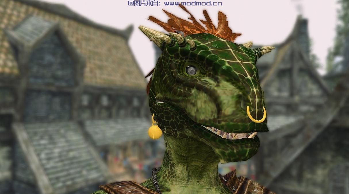 上古卷轴5：重置版MOD 面部打孔SSE