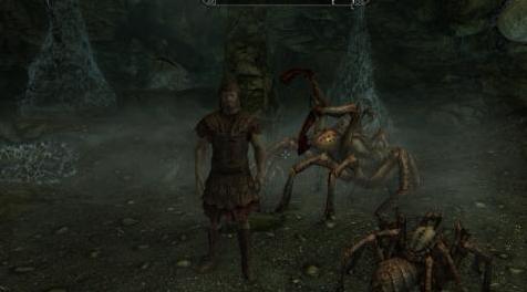 上古卷轴5：重置版MOD 完美和谐