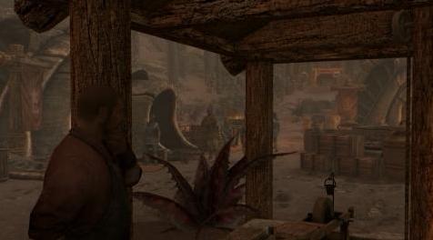 上古卷轴5：重置版MOD 选择不要在树上生长