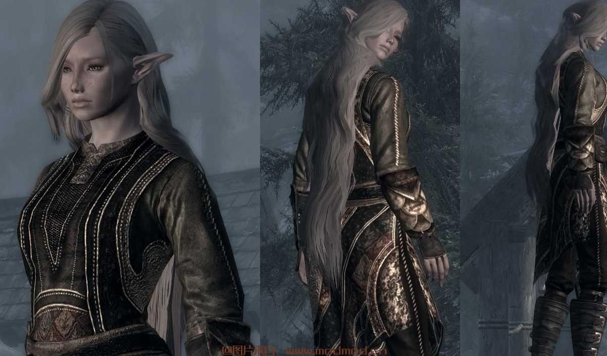 上古卷轴5：天际MOD DreamBurrowsRegalAssassin