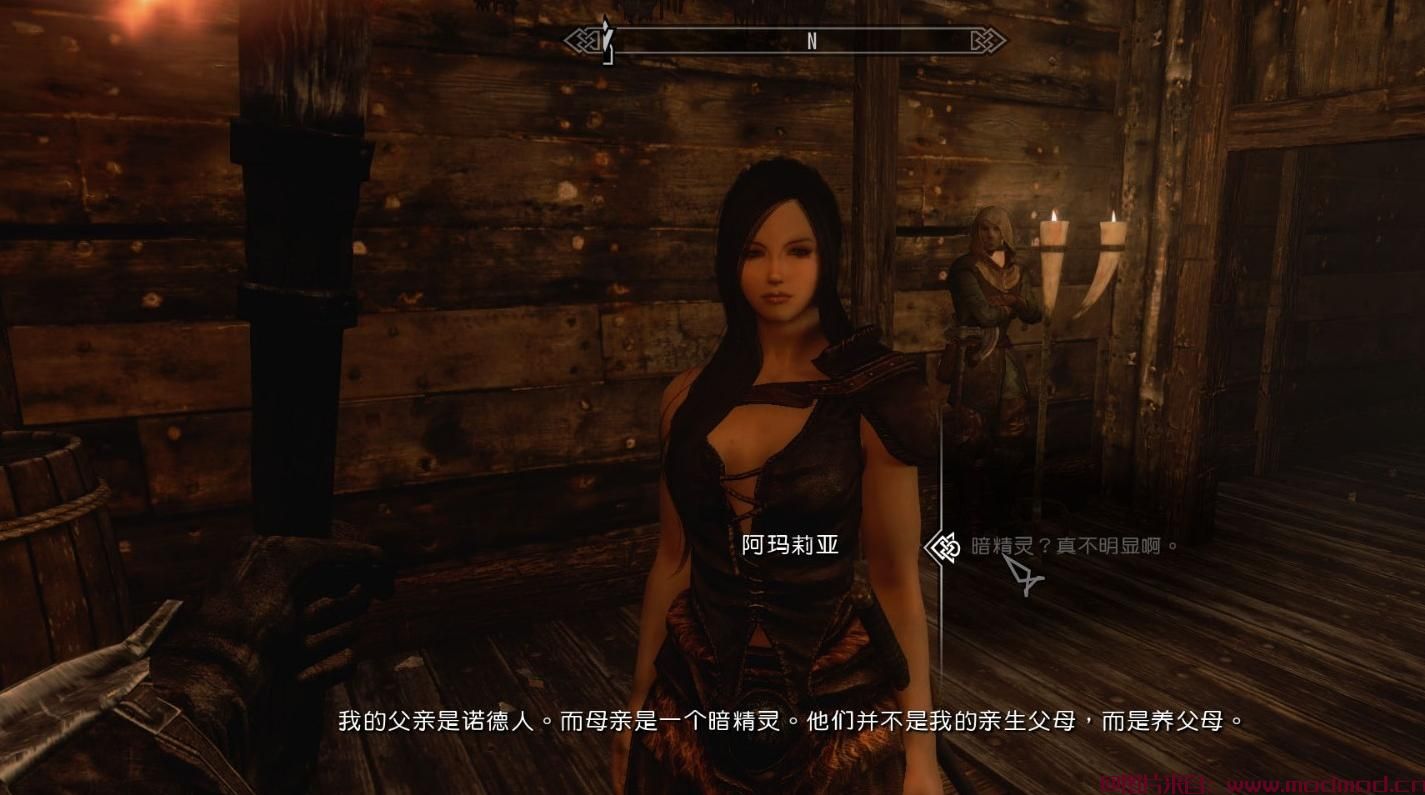 上古卷轴5：天际MOD 貌美音软的日语语音人妻随从阿玛莉亚