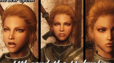 上古卷轴5：天际MOD 汉化MOD Skyrim Beautiful Followers - SBF最强原版随从美化V2.1汉化版