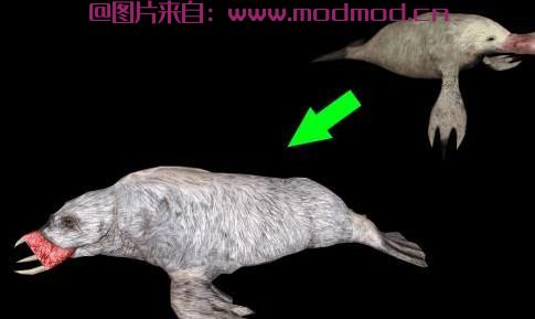 上古卷轴5：重置版MOD 血horker中文翻译