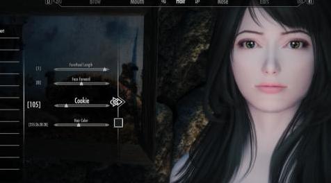 上古卷轴5：重置版MOD DovaJoaquim ECE预设