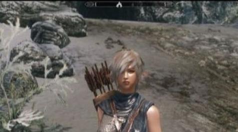 上古卷轴5：天际MOD [MOD] 为角色加上油光+湿身效果，不影响原有皮肤/体型