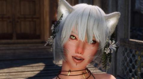 上古卷轴5：重置版MOD 蓬松的猫耳朵和胡须