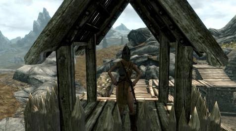 上古卷轴5：重置版MOD FLL-女性化级别列表