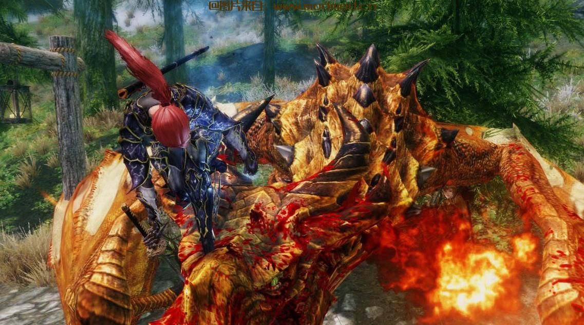 上古卷轴5：天际MOD 雷鸟+清华退魔装