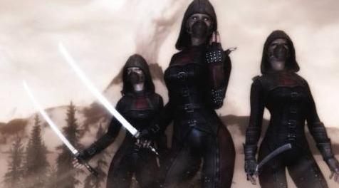 上古卷轴5：天际MOD 【汉化】盔甲A Perfect Assasin