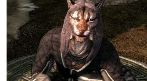 上古卷轴5：重置版MOD Khajiit Merchants购买被盗物品SE