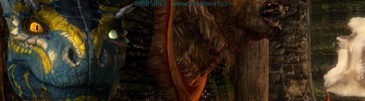 上古卷轴5：重置版MOD 银染异色病
