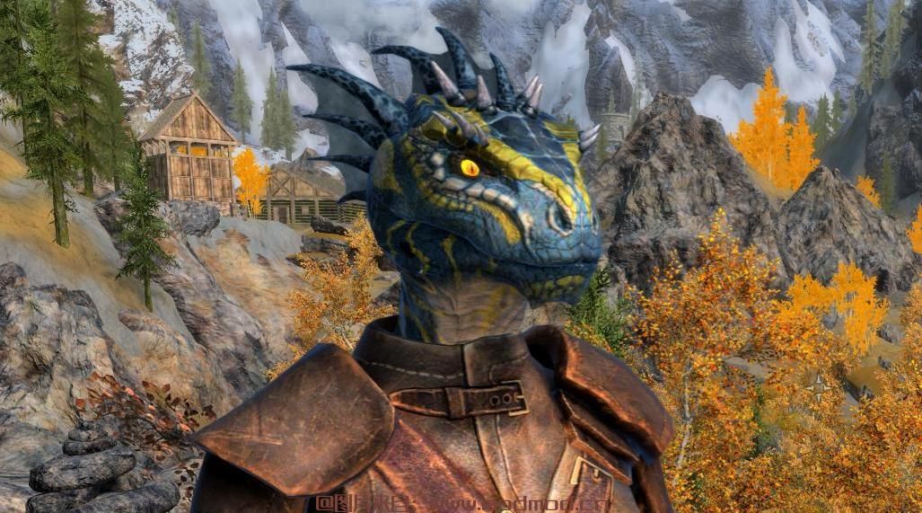 RGONIA鳍-香草替代品