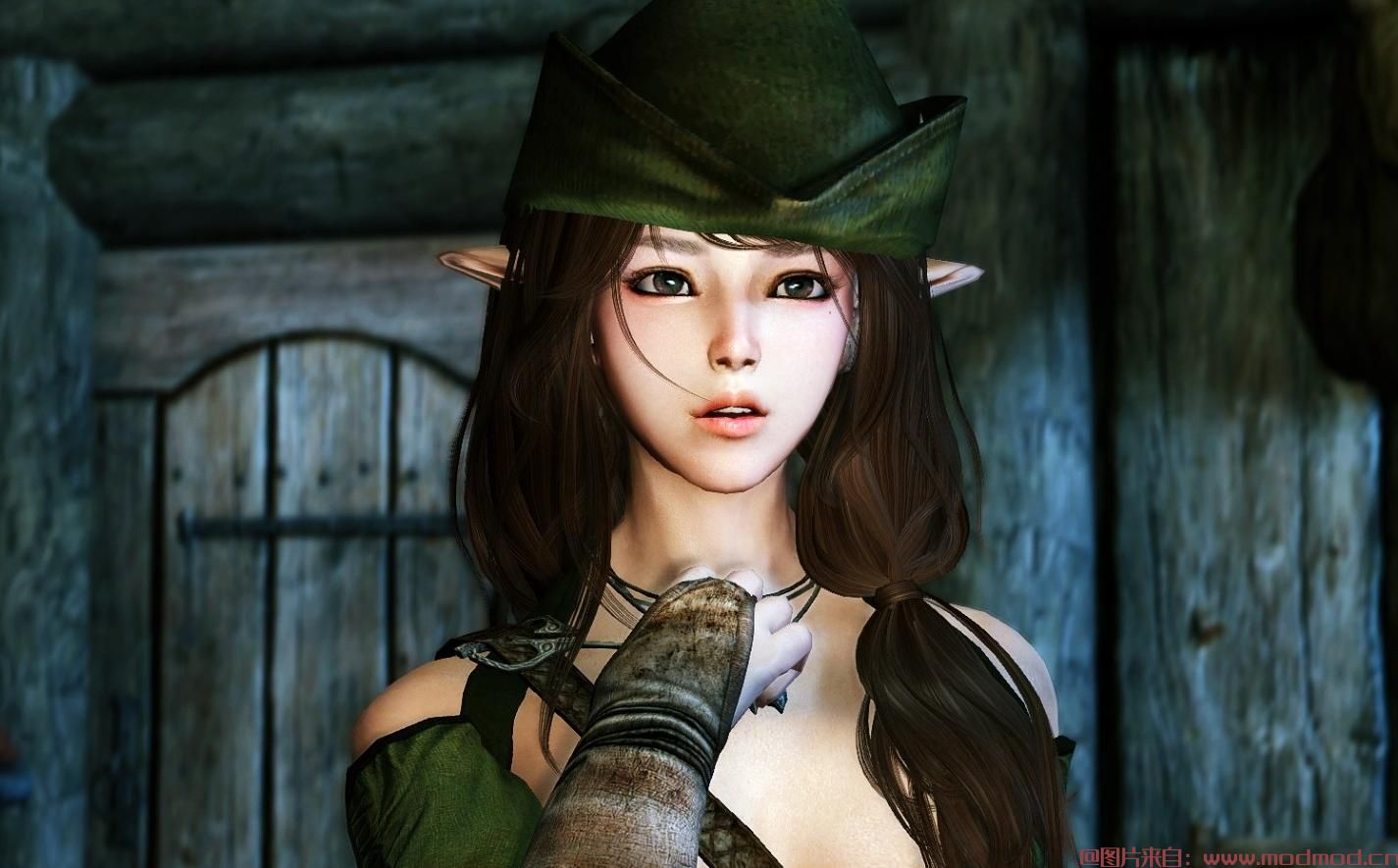 上古卷轴5：天际MOD 汉化  隐居者塔妮娅-V3.6--多功能女随从