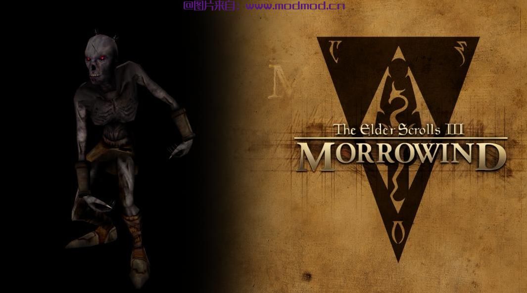 上古卷轴5：重置版MOD DRAUGR  - 经典RedEye