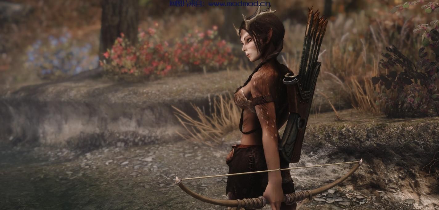 上古卷轴5：重置版MOD Mese独立女性随从和教练员