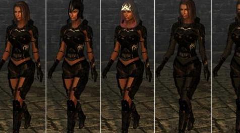 上古卷轴5：天际MOD ArmorEbonyRanger