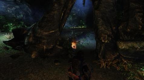 上古卷轴5：重置版MOD 单的点火把SE