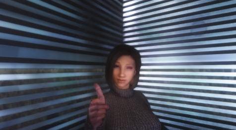上古卷轴5：天际MOD Facial Expressions Project (F.E.P) 表情控制（主要功能已汉化）