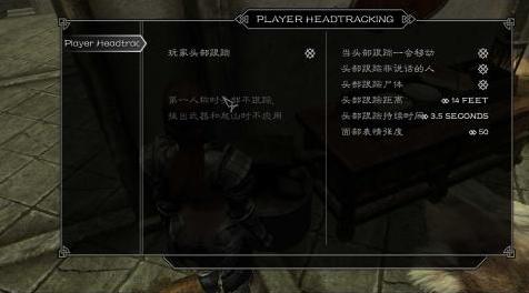 上古卷轴5：天际MOD 【完整版+汉化】Player Headtracking
