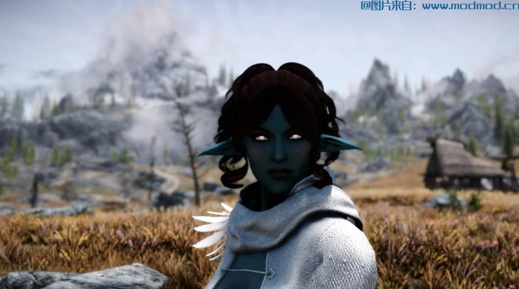 索菲亚玩家角色预设