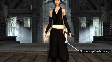 上古卷轴5：天际MOD 【动漫类mod】死神BLEACH-碎蜂全套装束7B及CBBE及UNP及可选BBP