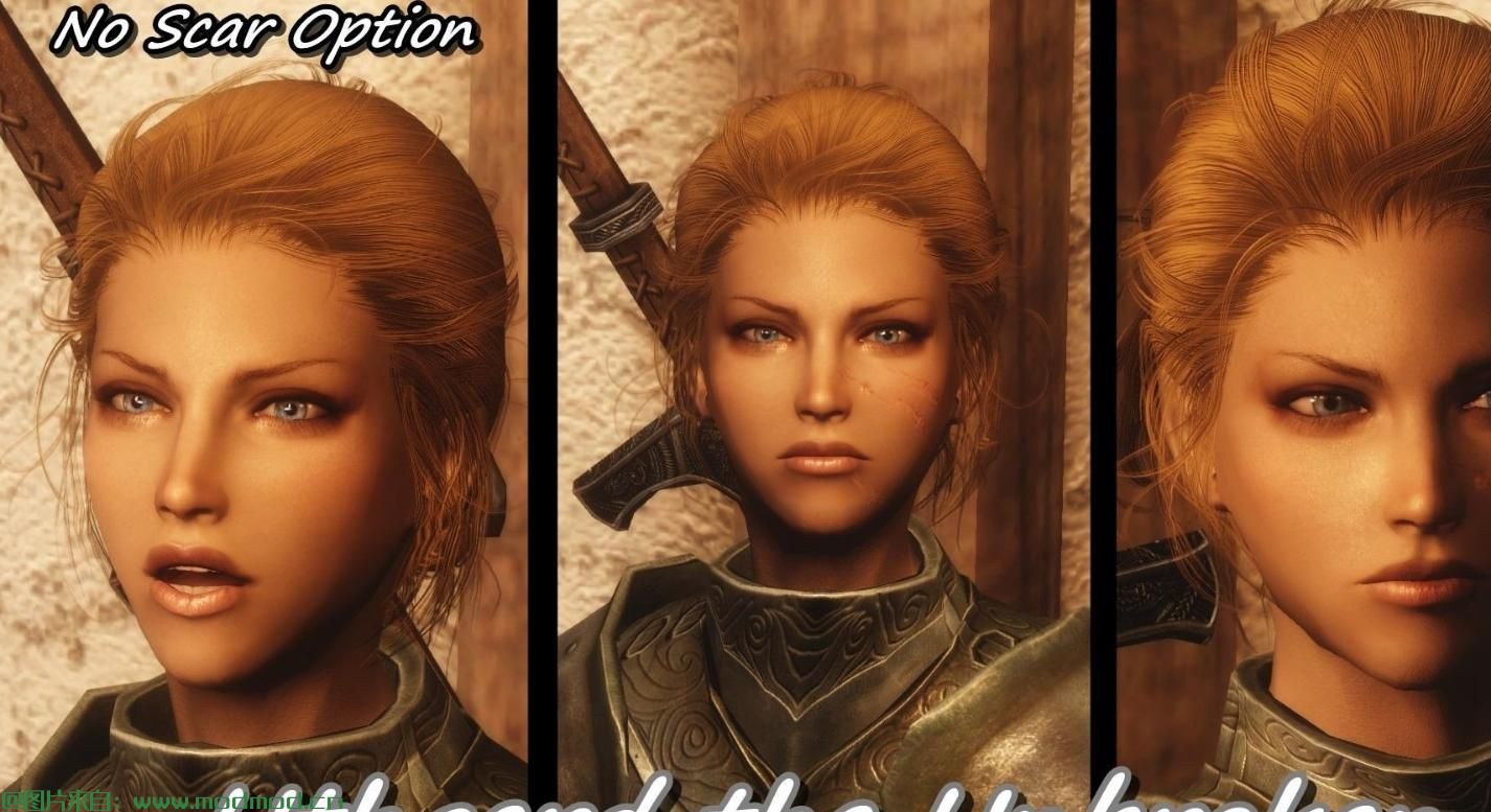 上古卷轴5：天际MOD 汉化MOD Skyrim Beautiful Followers - SBF最强原版随从美化V2.1汉化版