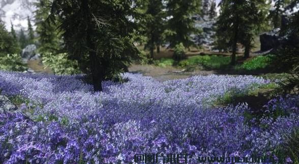 求9.4更新V2.0：花域-Flower Fields资源！
