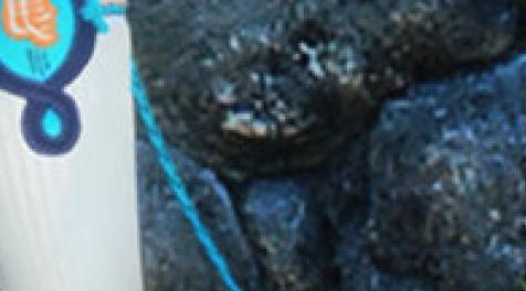 上古卷轴5：天际MOD 剑灵茱莉亚