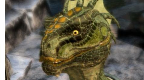 上古卷轴5：重置版MOD RGONIA鳍-香草替代品