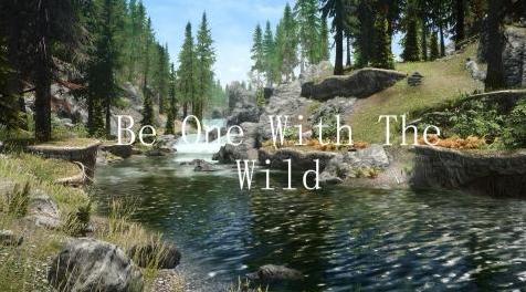 上古卷轴5：重置版MOD 没有狼人攻击SSE