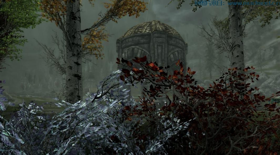 更多五颜六色的树SE