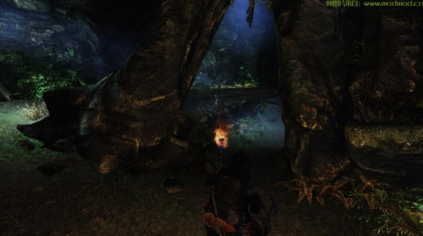 上古卷轴5：重置版MOD 单的点火把SE