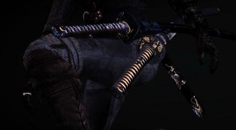 上古卷轴5：天际MOD  乱影授权----Nemon制作--【不动明王项目】---【不动明王三刀流&二天一流】