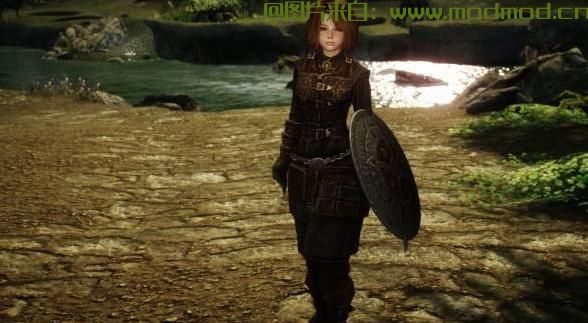 独立随从：维欧拉-Viola Standalone Follower 