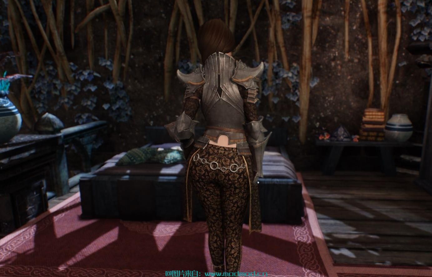 上古卷轴5：天际MOD 【CBBE】BDO Clead v0.8